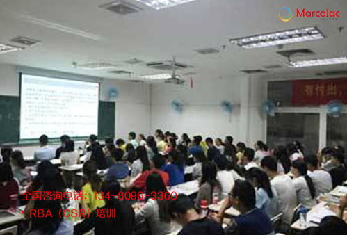 自贡RBA验厂要求下的碳排放管理与信息技术咨询服务