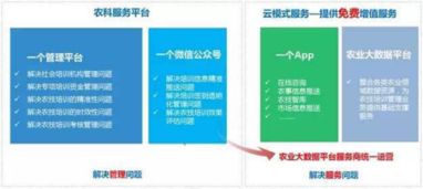 耕者为农，云为锄——神州信息农业云的信息技术咨询服务